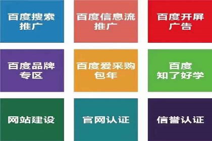 行业领先企业的网络推广与竞价经验